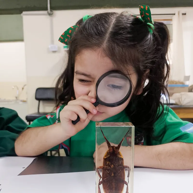 Colegio San Esteban | Nivel Inicial