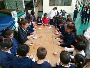 img-20161031-wa0025