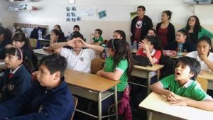 Y6 (1)